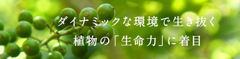 �A���t�@�s�j28�G�b�Z���X���[�V�������T�C�g